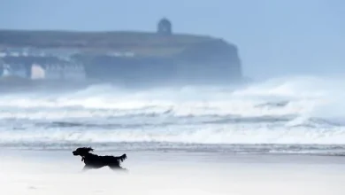 Yellow weather warning issued for NI with gusts of 60mph possible for coastal areas