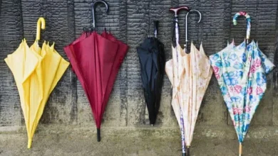 Your Mississippi forecast for Monday, December 1