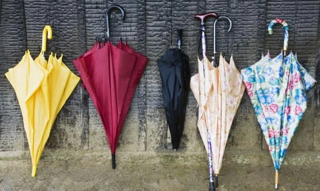 Your Mississippi forecast for Monday, December 1