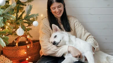 Your Pet Can’t Stand When You Play These Popular Christmas Songs