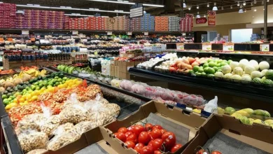 ‘Able-bodied adults’ must work or lose food stamps, under new federal rules that affect 37,000 Oregonians