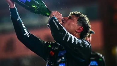 ‘I did it, I did it, I did it!’ – Lando Norris on achieving his title dream and digging deep to overcome Max Verstappen and Oscar Piastri