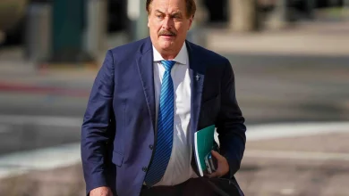 ‘MyPillow Guy’ and Trump supporter Mike Lindell says he’s running for Minnesota governor in 2026 - MPR News