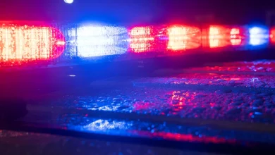 ‘The Lion King’ Broadway actress stabbed to death at the age of 25