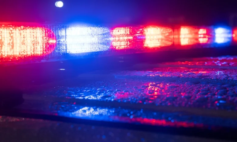 ‘The Lion King’ Broadway actress stabbed to death at the age of 25