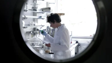 ‘This year nearly broke me as a scientist’ – US researchers reflect on how 2025’s science cuts have changed their lives