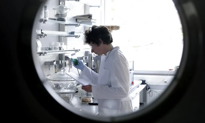 ‘This year nearly broke me as a scientist’ – US researchers reflect on how 2025’s science cuts have changed their lives