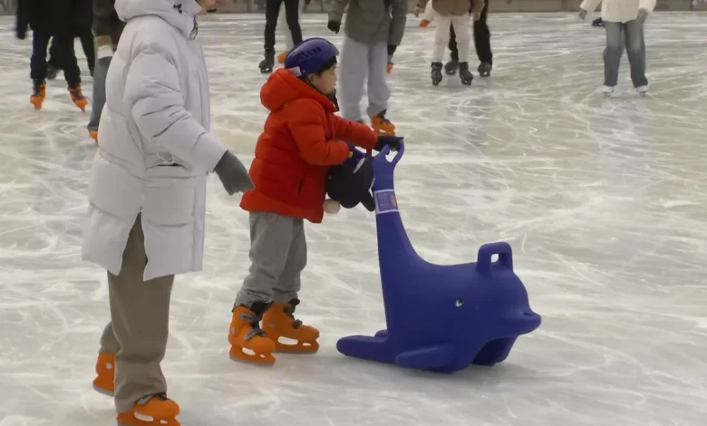 [날씨] 포근한 올해 마지막 휴일...중서부 눈·비