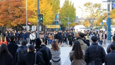 [내일 날씨] 큰 일교차...낮부터 기온 올라 ‘포근’