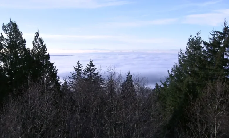 1 person dead at Cypress Mountain Resort: West Vancouver police