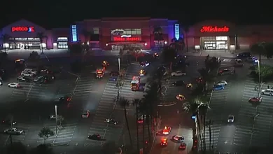 1 person killed in deputy-involved shooting at Michaels store in West Hills