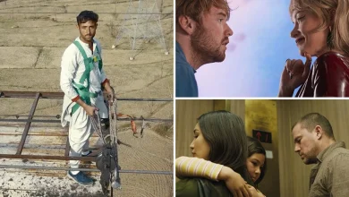 13 Films That Could Spark Bidding Wars