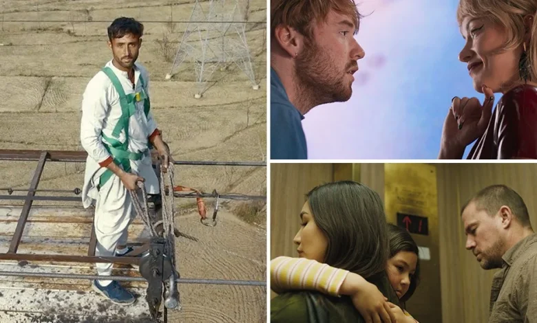 13 Films That Could Spark Bidding Wars