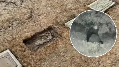 1,600 headstones, plaques stolen or damaged in repeat thefts at historic Woodlawn Celestial Gardens in Compton