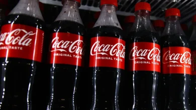 2 Top Dividend Stocks to Buy in 2026 and Hold for a Lifetime of Passive Income