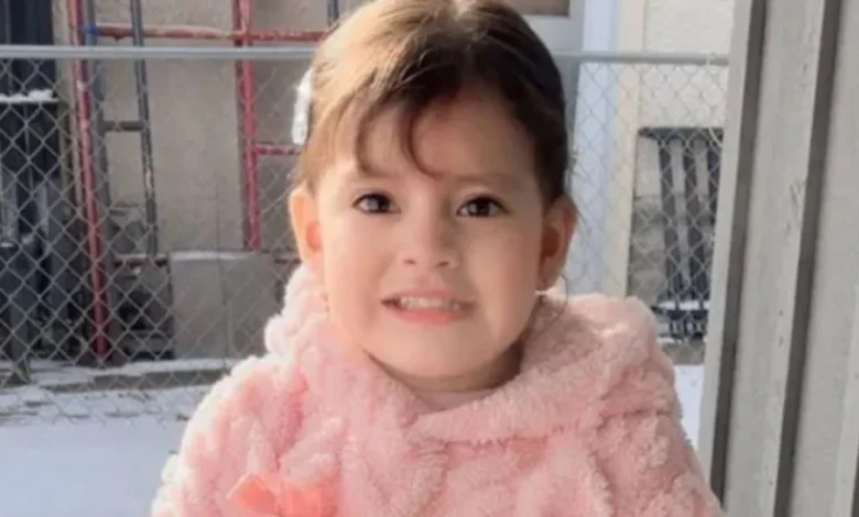 2-year-old girl and father taken by ICE in Minneapolis, local lawmaker says