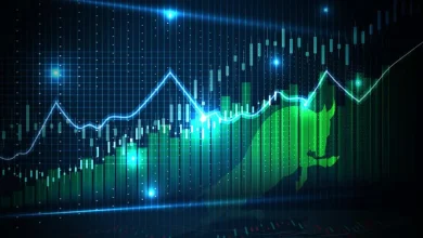 20 stocks in the S&P 500 that gained the most in 2025