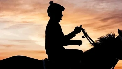 2026 Pegasus World Cup picks, odds: Horse racing writer has best bets for Saturday's $3 million race