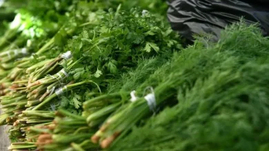 3 tons of Uzbek dill were destroyed in Latvia