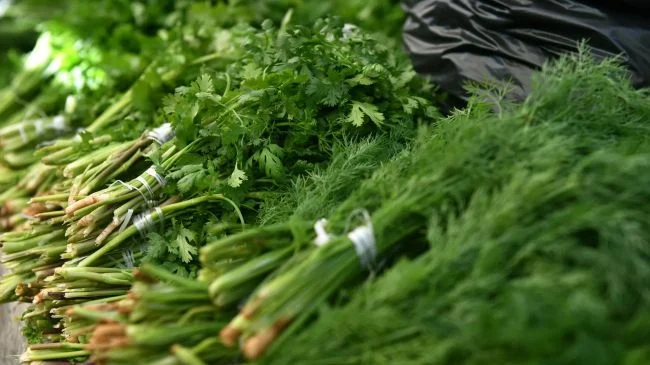 3 tons of Uzbek dill were destroyed in Latvia