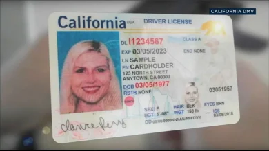 325,000 Californians will need to to replace REAL IDs due to DMV software error impacting legal immigrants