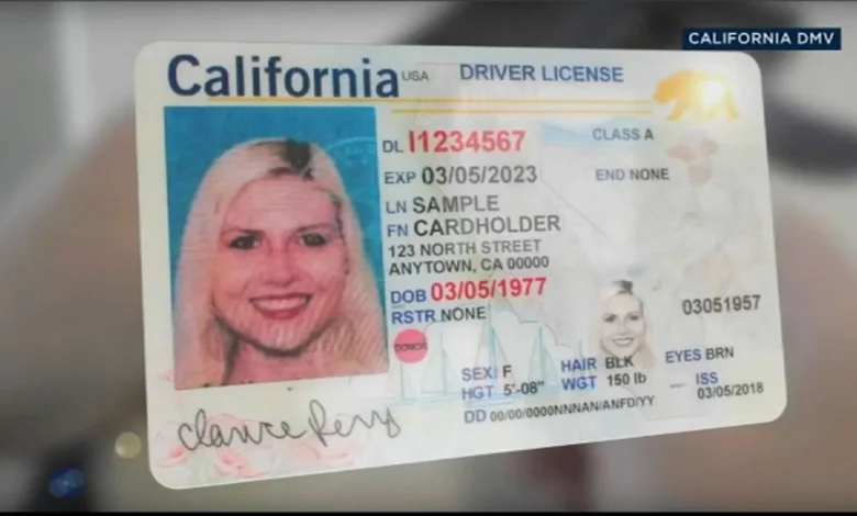 325,000 Californians will need to to replace REAL IDs due to DMV software error impacting legal immigrants