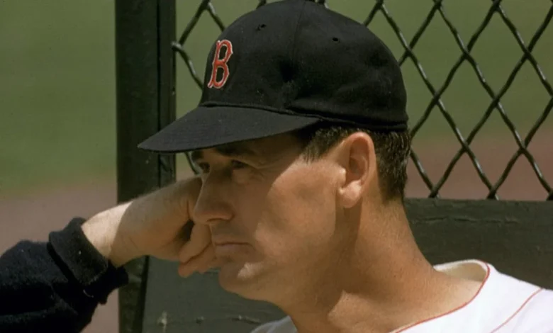 4 Iconic Ted Williams Baseball Cards That Are Not From Topps