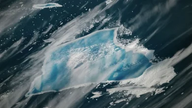 40-Year-Old Iceberg Turns Vivid Blue as It Approaches Total Disintegration