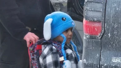 5-year-old Liam Conejo Ramos detained by ICE in Minnesota