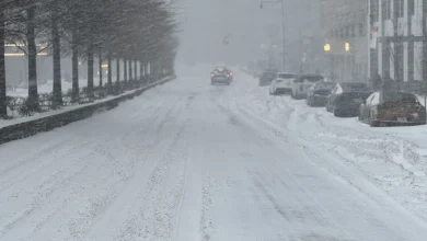 6 deaths outside in NYC being investigated for links to the extreme cold