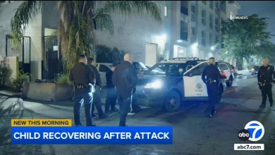 9-year-old girl attacked by man in Van Nuys, dog bites suspect