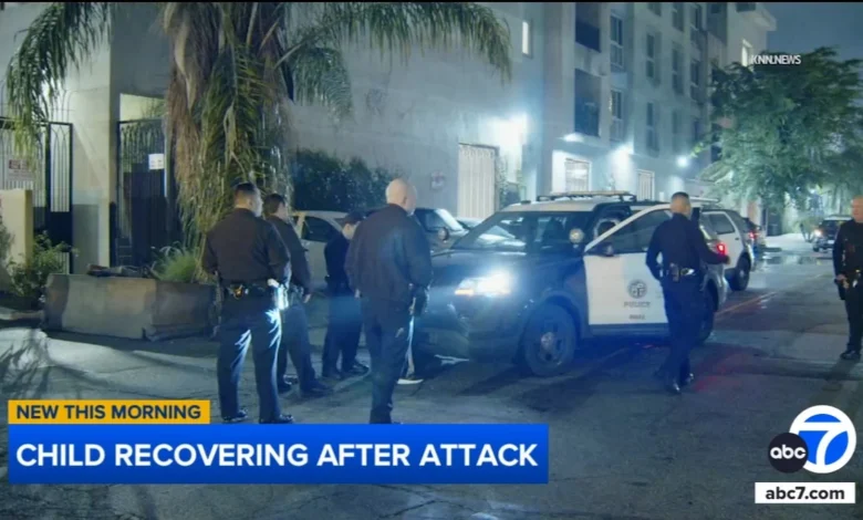 9-year-old girl attacked by man in Van Nuys, dog bites suspect