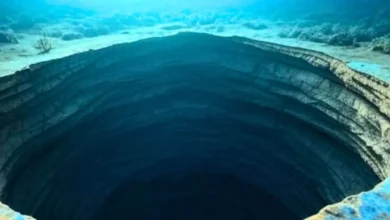 A Massive 20,000-Year-Old Freshwater Reservoir Found Off the East Coast Could Power New York City for 800 Years