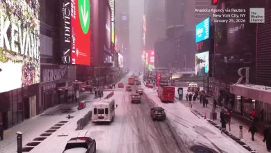 A New York City Snowstorm, Seen From Above