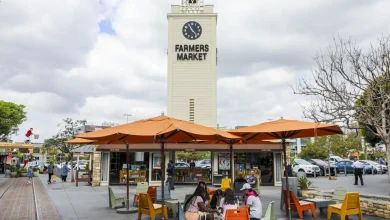 A Word, Please: English is hard and no one rule governs it