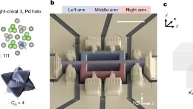 A chiral fermionic valve driven by quantum geometry