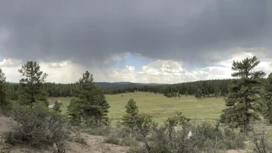 A couple of friends thought they could help build affordable housing in Pagosa Springs. Was it wishful thinking?