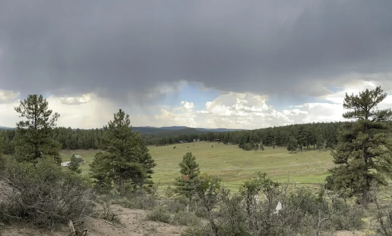 A couple of friends thought they could help build affordable housing in Pagosa Springs. Was it wishful thinking?