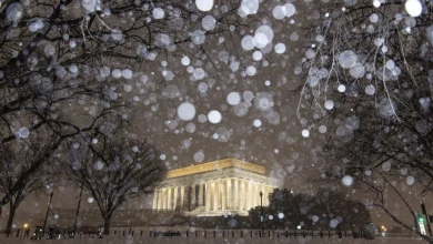 A major winter storm has hit the D.C. region. Here’s what to know - wamu.org