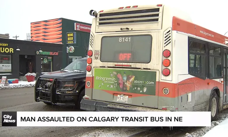 A man was assaulted on a Calgary Transit bus in the city's Northeast Saturday
