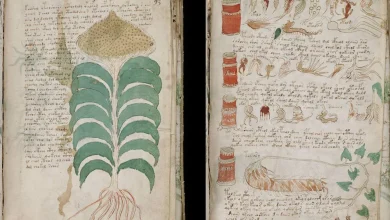 A new study suggests the mysterious Voynich Manuscript may be a medieval cipher