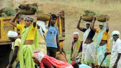 A rural jobs law without a guarantee