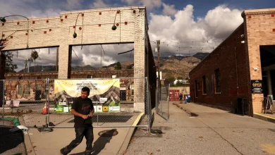 A year after the Eaton fire, the loss of Altadena is still raw