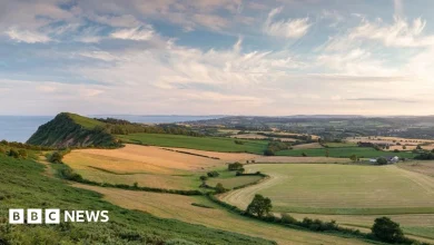 A year of change - Devon politics in 2025