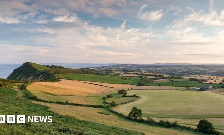 A year of change - Devon politics in 2025