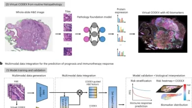 AI-enabled virtual spatial proteomics from histopathology for interpretable biomarker discovery in lung cancer