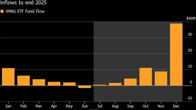 AI ‘Fatigue’ Leaves Investors Focused on S&P’s Other 493 Stocks