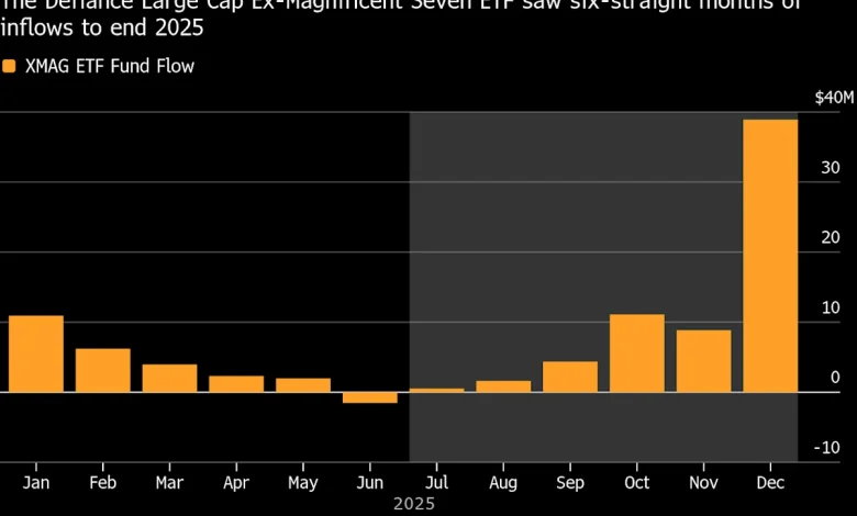 AI ‘Fatigue’ Leaves Investors Focused on S&P’s Other 493 Stocks
