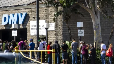 About 325,000 Californians need new Real IDs because of software error