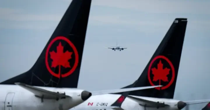 Air Canada investigating after ground crew member trapped in cargo hold